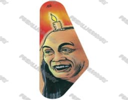 Ripley's Believe It or Not! Flipper Műanyag Készlet (Szett) thumbnail 2