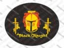 Black Knight 1980 Flipper Műanyag alkatrész (30c-500-keychan)